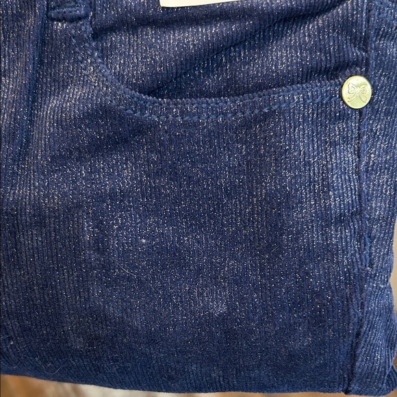 Gymboree Navy Skinny Pants with Gold Accents - Picture 6 of 6